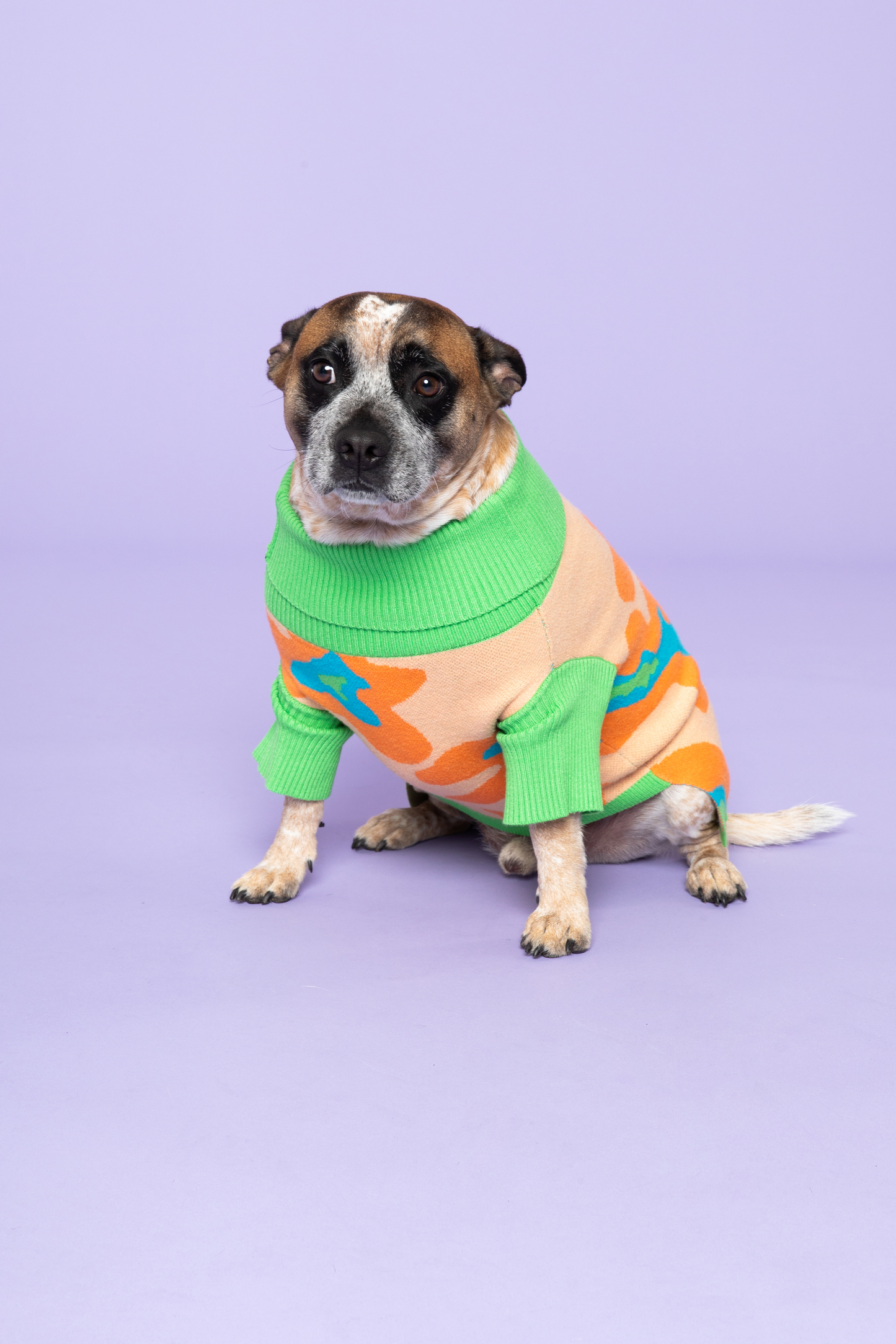 Peach Ring Pet Sweater