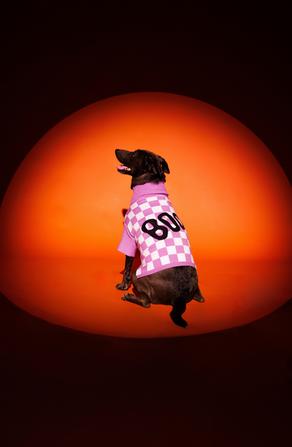 Purple People Eater Pet Sweater