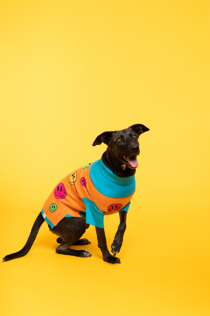 How Are You Feeling? Pet Sweater