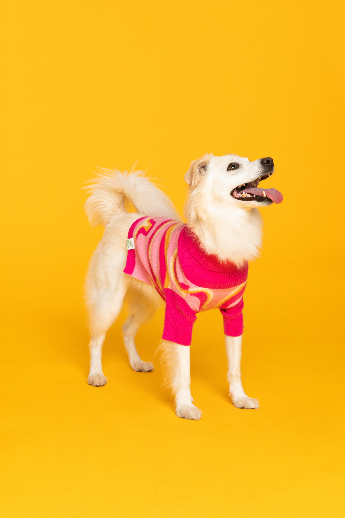 Pink Lemonade Pet Sweater