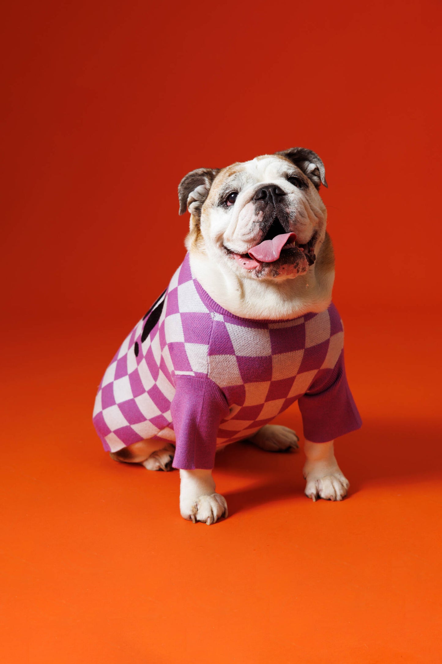 Purple People Eater Pet Sweater